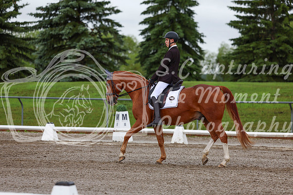 2025 - Dressage Festival - Sunday July 6th - 01331