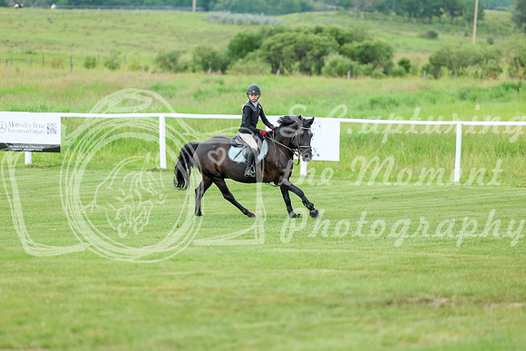 2025 - Shea - Teesdale - Saturday July 26th - 03224