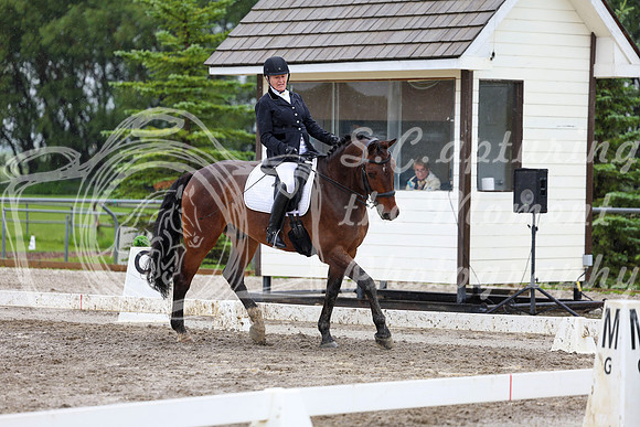 2025 - Dressage Festival - Sunday July 6th - 08767