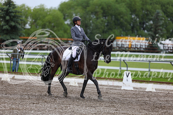 2025 - Dressage Festival - Sunday July 6th - 06977
