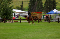 2025 - Shea - Rocky Mountain Classic II - Saturday August 16th - 15788