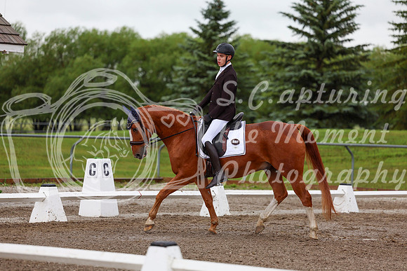 2025 - Dressage Festival - Sunday July 6th - 01346
