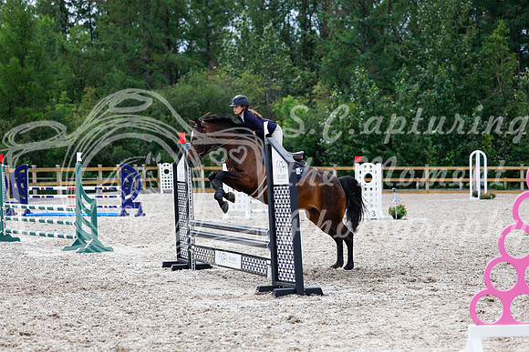 2025 - Haylee - Picco Horse Show - Friay July 25th 01884