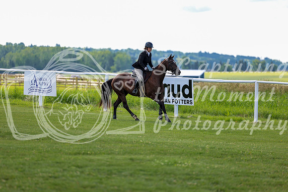 2025 - Shea - Teesdale - Friday July 25th - 03730