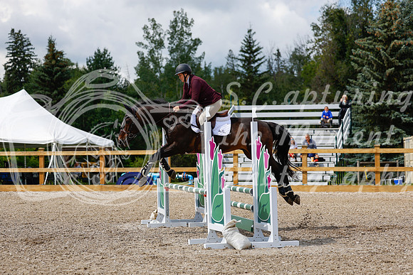 2025 - Haylee - Picco Horse Show - Sunday July 27th 03261