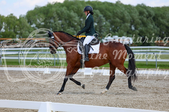 2025 - Dressage Festival - Saturday July 5th - 09505