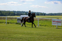 2025 - Shea - Teesdale - Friday July 25th - 03566