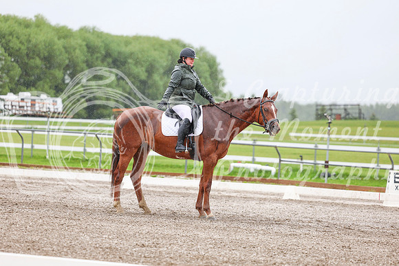 2025 - Dressage Festival - Sunday July 6th - 03584