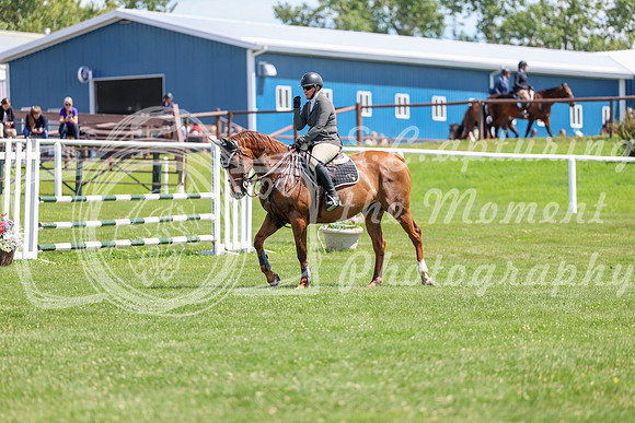 2025 - Shea - Teesdale - Thursday July 24th - 01141