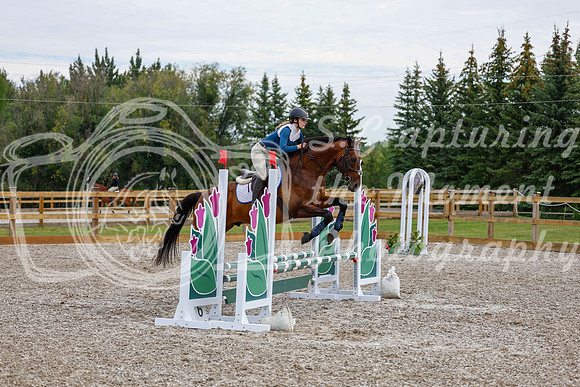 2025 - Haylee - Picco Horse Show - Saturday July 26th 02046