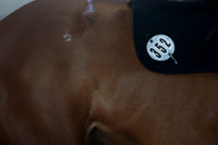 2025 - HJ Schooling - Sunday March 23rd - 5363