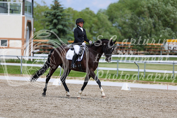 2025 - Dressage Festival - Saturday July 5th - 11402