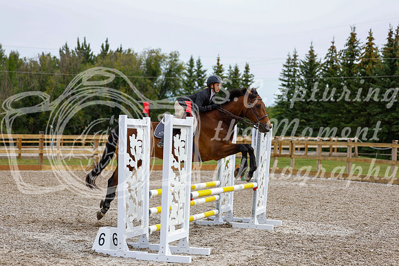 2025 - Haylee - Picco Horse Show - Friay July 25th 01627