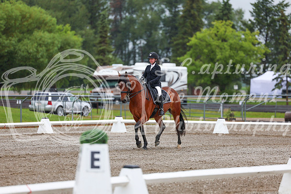 2025 - Dressage Festival - Sunday July 6th - 01061