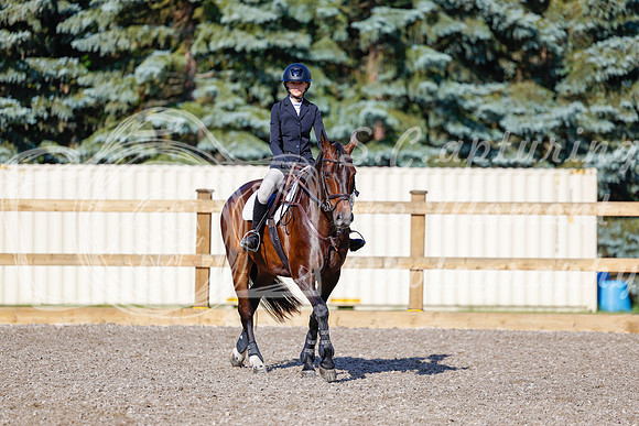 2025 - Haylee - Picco Horse Show - Thursday July 24th 00670