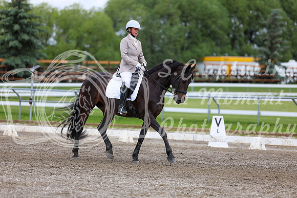 2025 - Dressage Festival - Sunday July 6th - 10453
