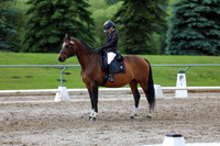 2025 - Dressage Festival - Sunday July 6th - 14413