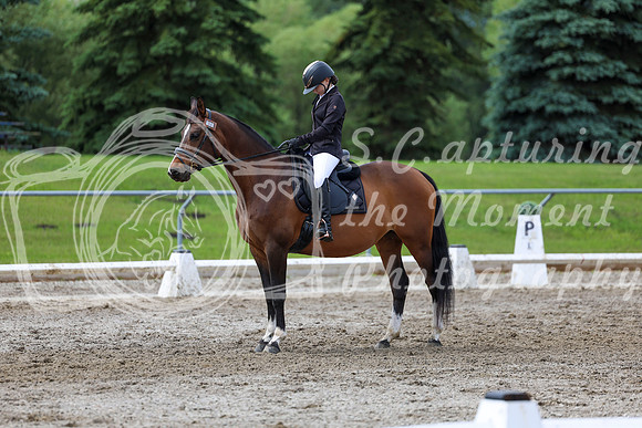 2025 - Dressage Festival - Sunday July 6th - 14413