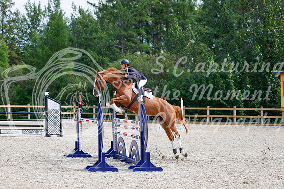 2025 - Haylee - Picco Horse Show - Sunday July 27th 05783