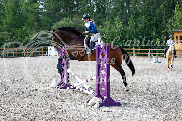2025 - Haylee - Picco Horse Show - Saturday July 26th 00183