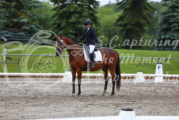 2025 - Dressage Festival - Sunday July 6th - 07800