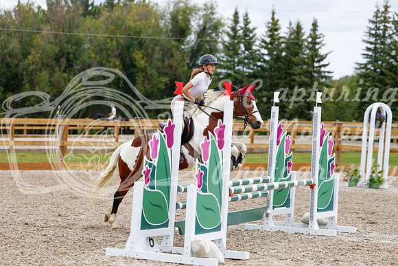 2025 - Haylee - Picco Horse Show - Saturday July 26th 04617