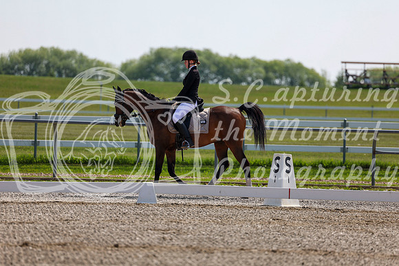 2025 - Dressage Festival - Saturday July 5th - 03089