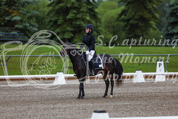 2025 - Dressage Festival - Sunday July 6th - 00005