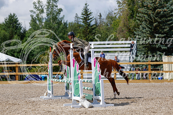 2025 - Haylee - Picco Horse Show - Sunday July 27th 03160