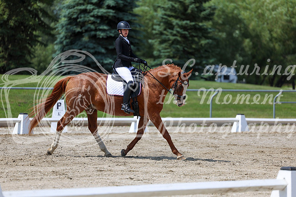 2025 - Dressage Festival - Saturday July 5th - 10147