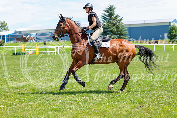 2025 - Shea - Teesdale - Thursday July 24th - 01552