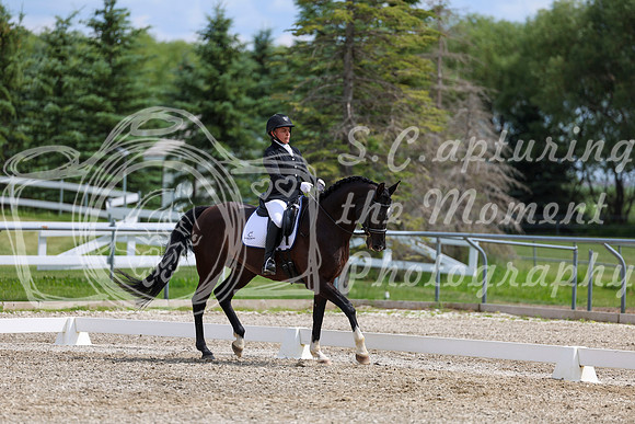 2025 - Dressage Festival - Saturday July 5th - 11465