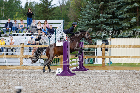 2025 - Haylee - Picco Horse Show - Friay July 25th 00997