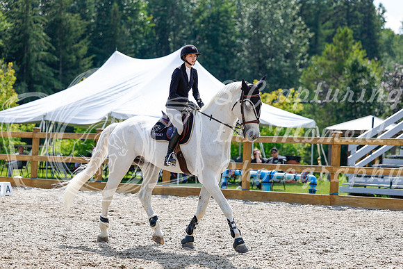 2025 - Haylee - Picco Horse Show - Saturday July 26th 07902