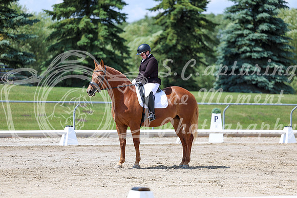 2025 - Dressage Festival - Saturday July 5th - 09329