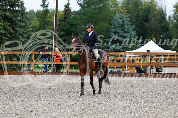 2025 - Haylee - Picco Horse Show - Sunday July 27th 00070