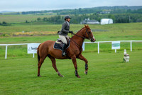 2025 - Shea - Teesdale - Saturday July 26th - 01291