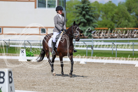 2025 - Dressage Festival - Saturday July 5th - 14608