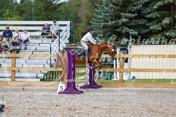 2025 - Haylee - Picco Horse Show - Friay July 25th 01662