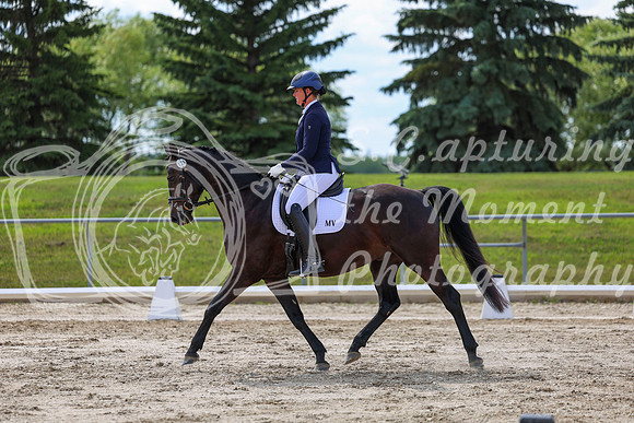 2025 - Dressage Festival - Saturday July 5th - 14803