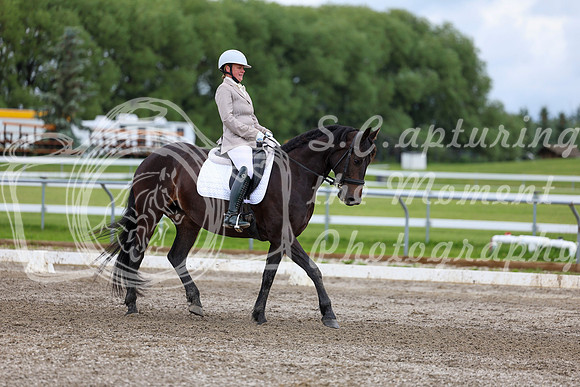 2025 - Dressage Festival - Sunday July 6th - 10458