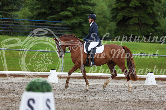 2025 - Dressage Festival - Sunday July 6th - 05312