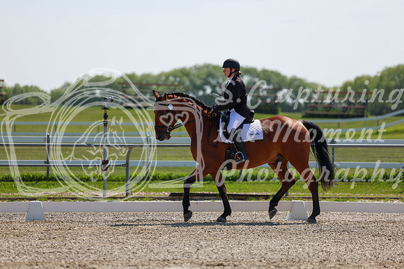 2025 - Dressage Festival - Saturday July 5th - 04337