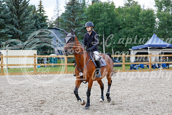 2025 - Haylee - Picco Horse Show - Saturday July 26th 06827