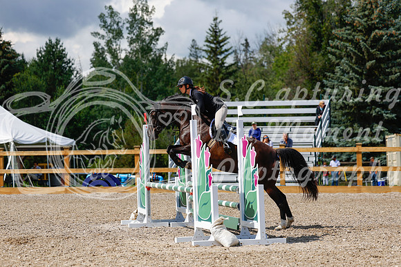 2025 - Haylee - Picco Horse Show - Sunday July 27th 03077