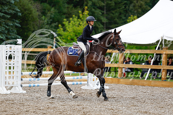 2025 - Haylee - Picco Horse Show - Saturday July 26th 01953