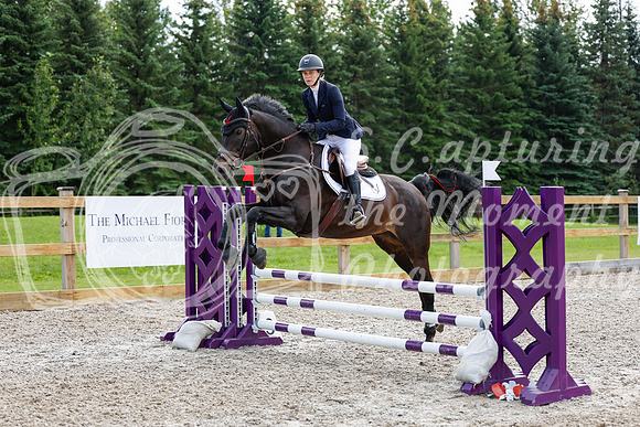 2025 - Haylee - Picco Horse Show - Sunday July 27th 02846