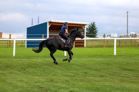 2025 - Shea - Teesdale - Friday July 25th - 07919