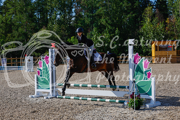 2025 - Haylee - Picco Horse Show - Thursday July 24th 00690