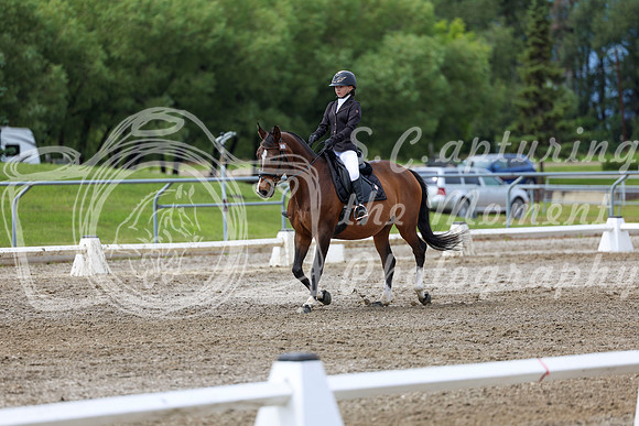 2025 - Dressage Festival - Sunday July 6th - 14401